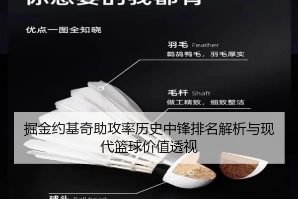 掘金约基奇助攻率历史中锋排名解析与现代篮球价值透视
